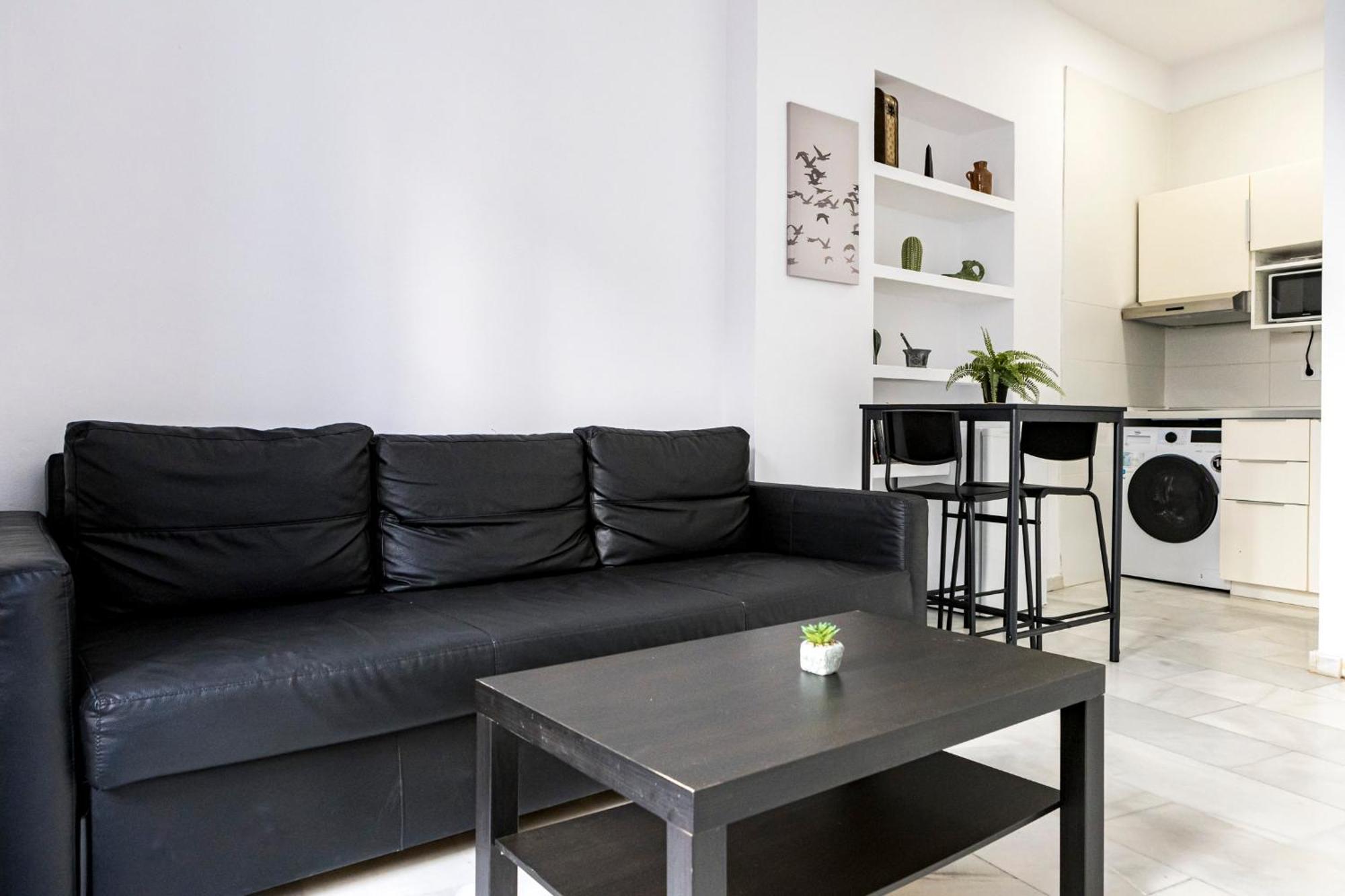 Apartment Picasso Malaga