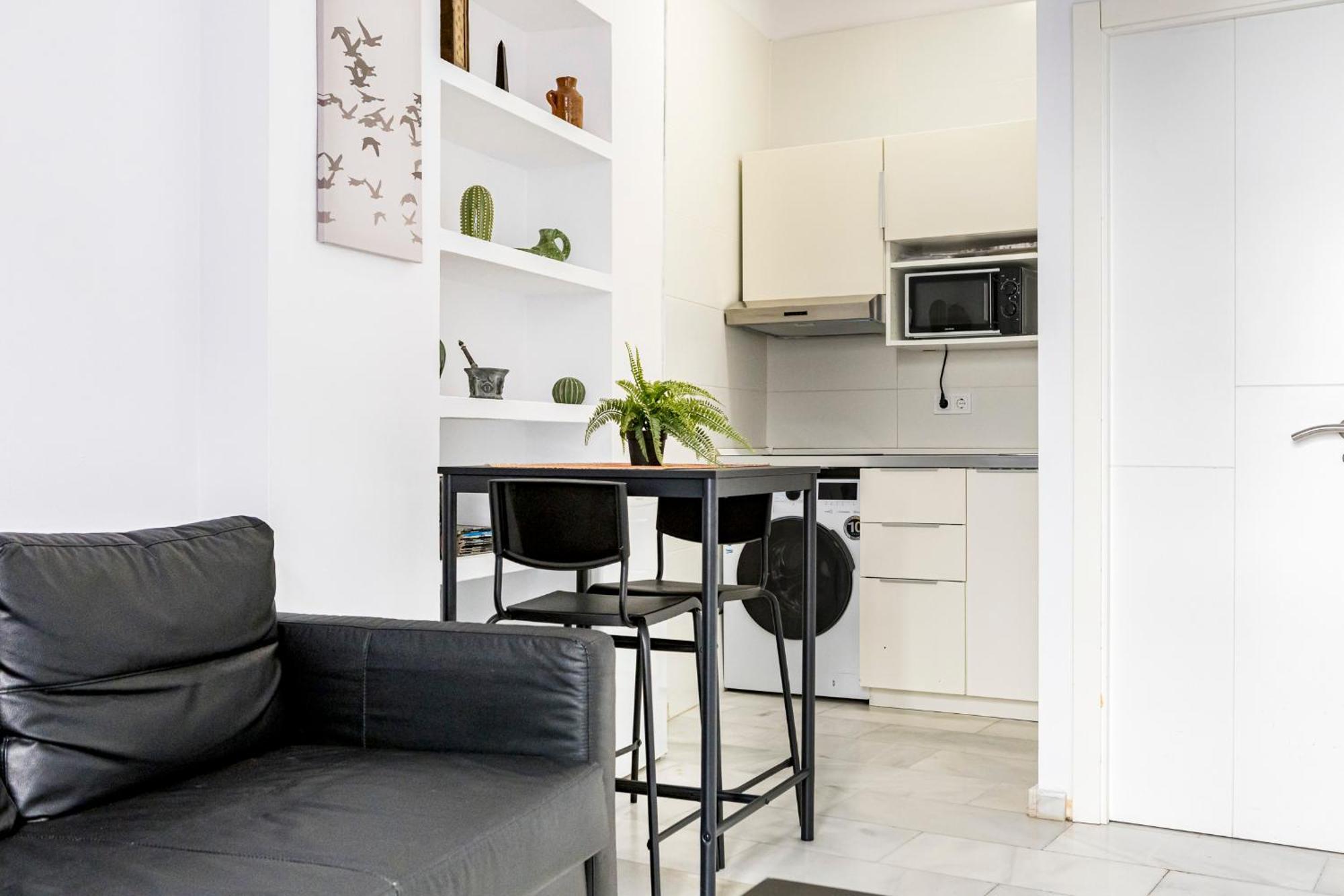Apartment Picasso *